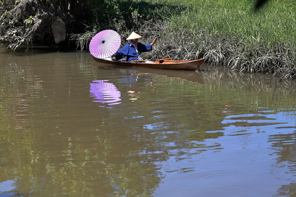 五分咲きを迎えたリコリスの花＃１０