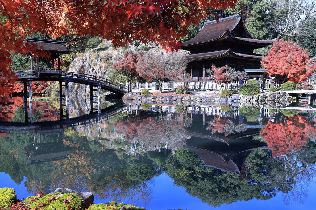 久々の永保寺・紅葉撮影＃１