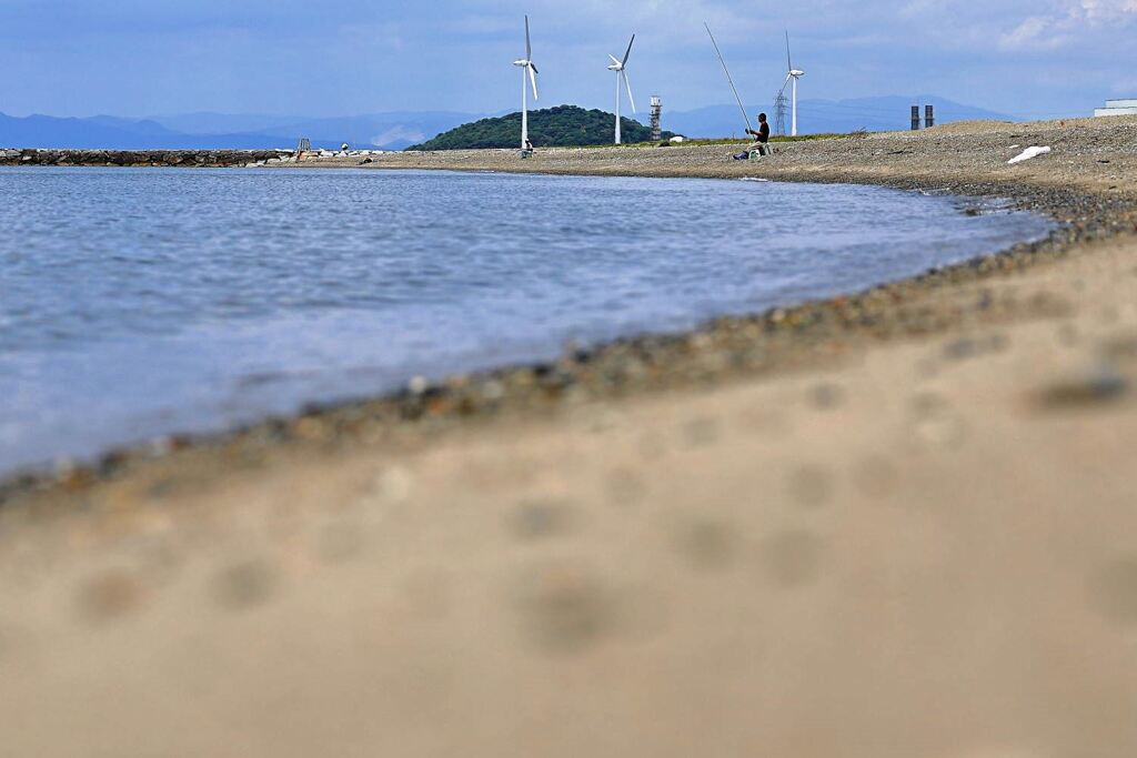 南国風情漂う白谷海浜公園＃３