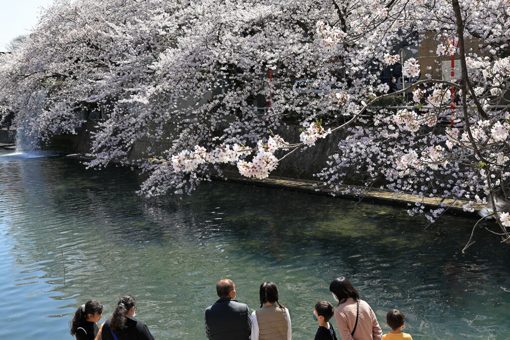 奥の細道むすびの地・大垣＃４