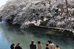 奥の細道むすびの地・大垣＃４