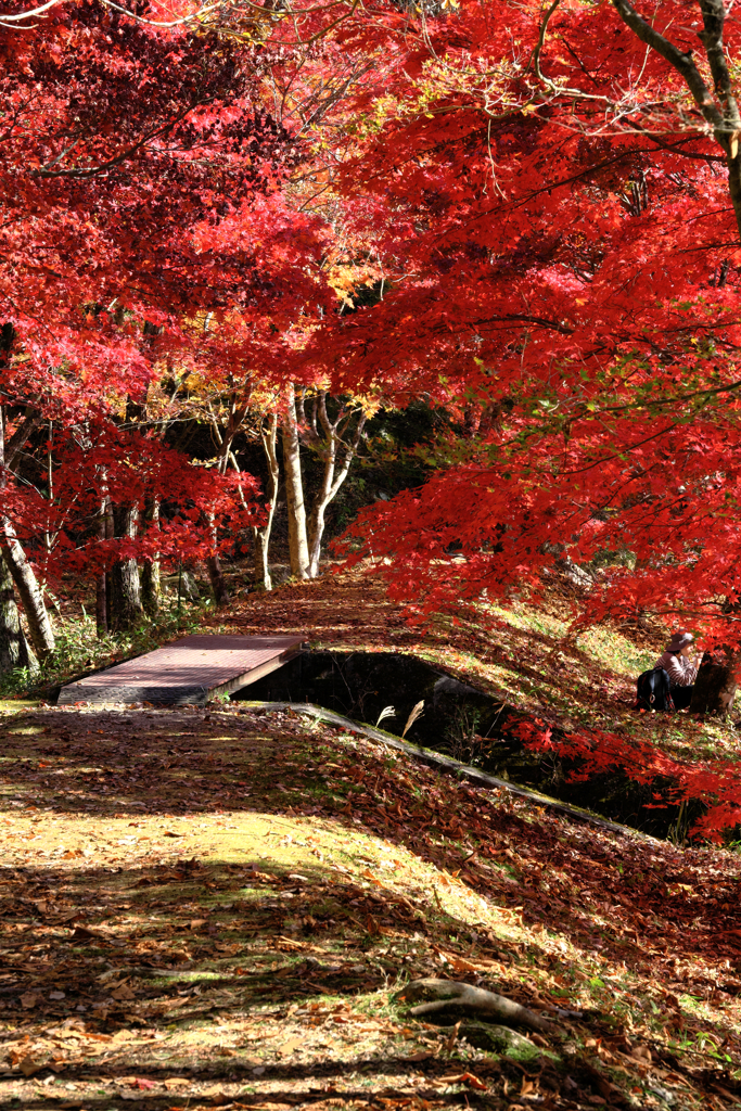 静けさ漂うタカドヤ湿地の紅葉＃２