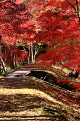 静けさ漂うタカドヤ湿地の紅葉#2