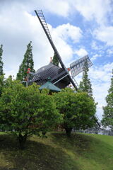 梅雨の晴れ間に出会った花たち＃１