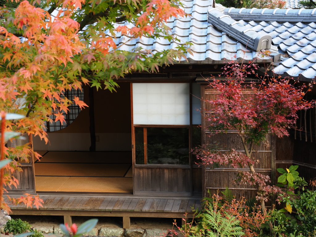 紅葉の名所西尾市の『尚古荘』＃８