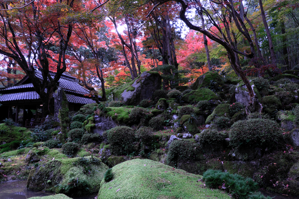 石の寺・教林坊の紅葉＃９