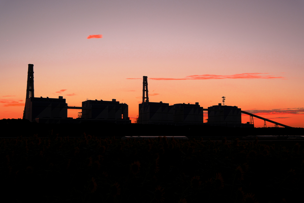 夕景のヒマワリと火力発電所・リベンジ撮影＃７