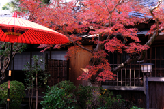 西尾歴史公園と尚古荘の紅葉＃９