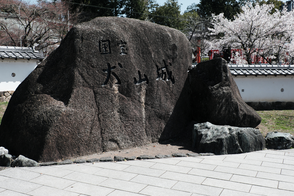 国宝犬山城と満開サクラのコラボ＃１