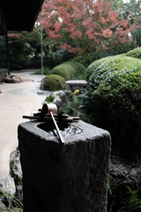 秋深し丈山苑も秋本番#3