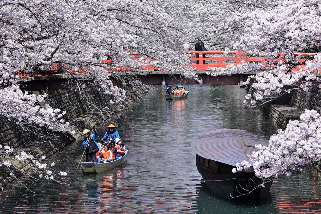 奥の細道むすびの地・大垣＃７