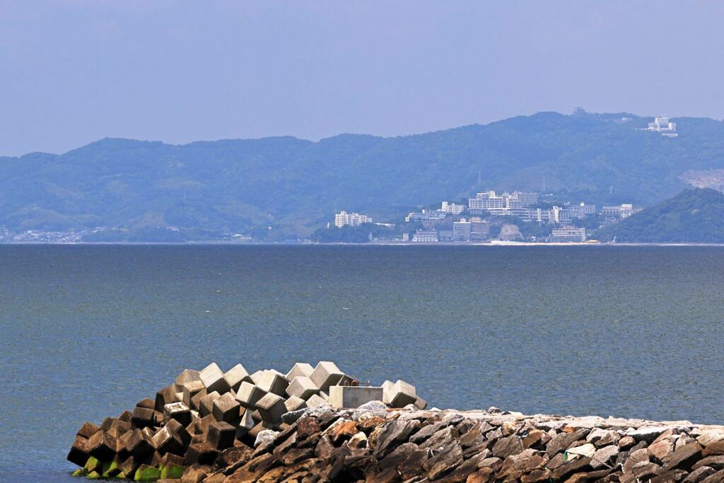 南国風情漂う白谷海浜公園＃８