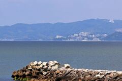 南国風情漂う白谷海浜公園＃８