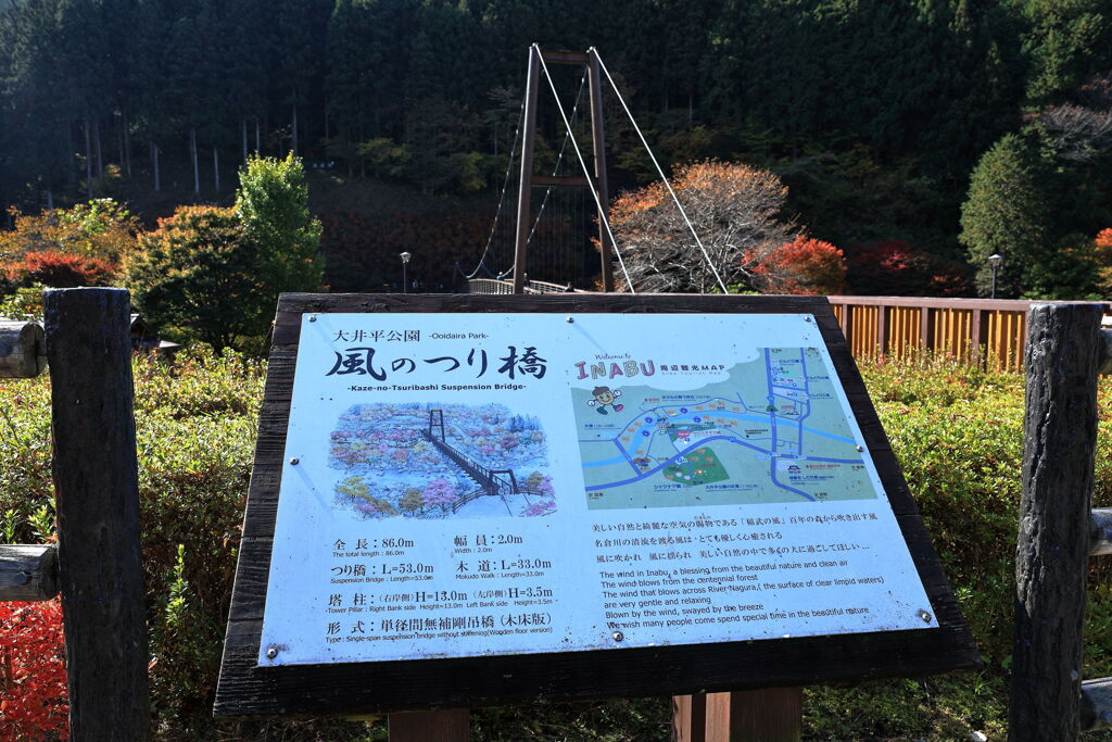 久し振りに大井平公園紅葉撮影＃５