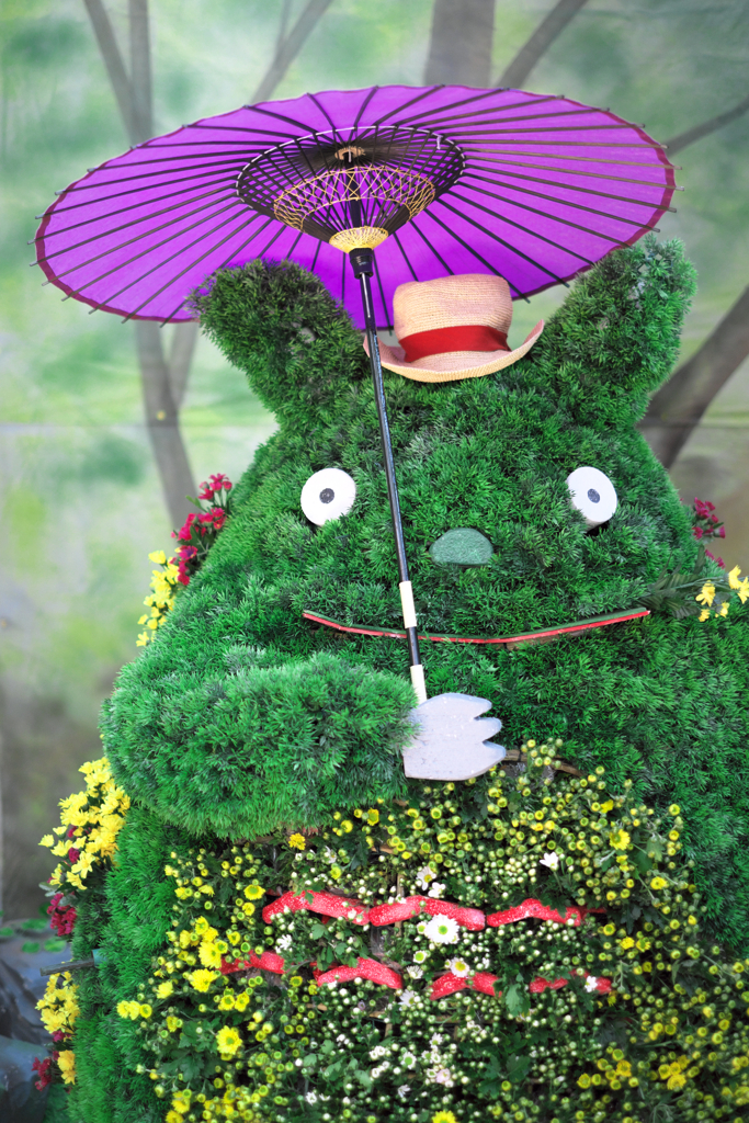 吉浜の菊まつり＃９