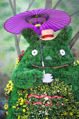 吉浜の菊まつり＃９