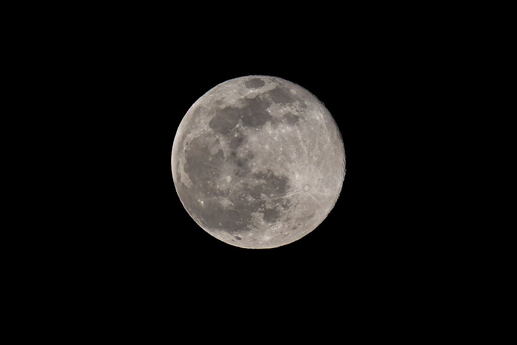 今年初めての満月・ウルフムーン