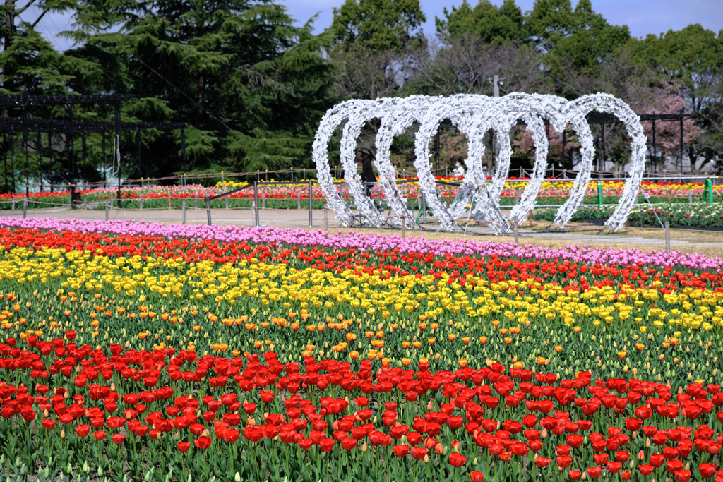 なばなの里・春真っ盛り＃７