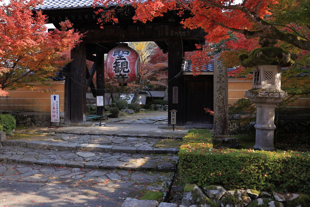 金剛輪寺の紅葉＃１