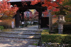 金剛輪寺の紅葉#1