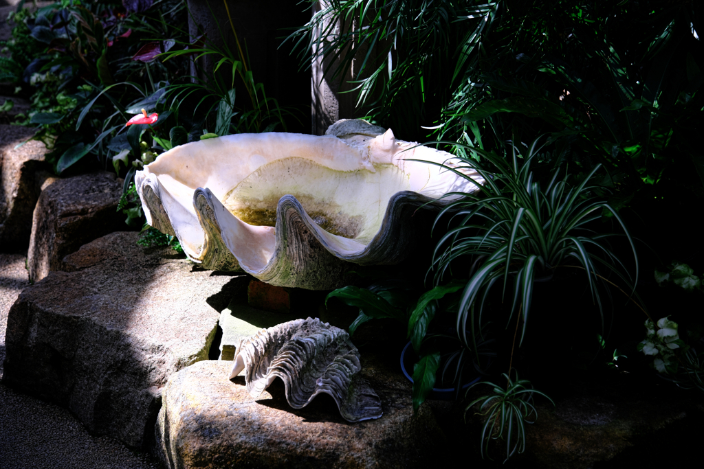 観賞用温室＃４