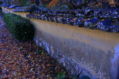 見頃を迎えた松平郷の紅葉＃７