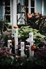 秋本番デンパークとハロウィン＃６