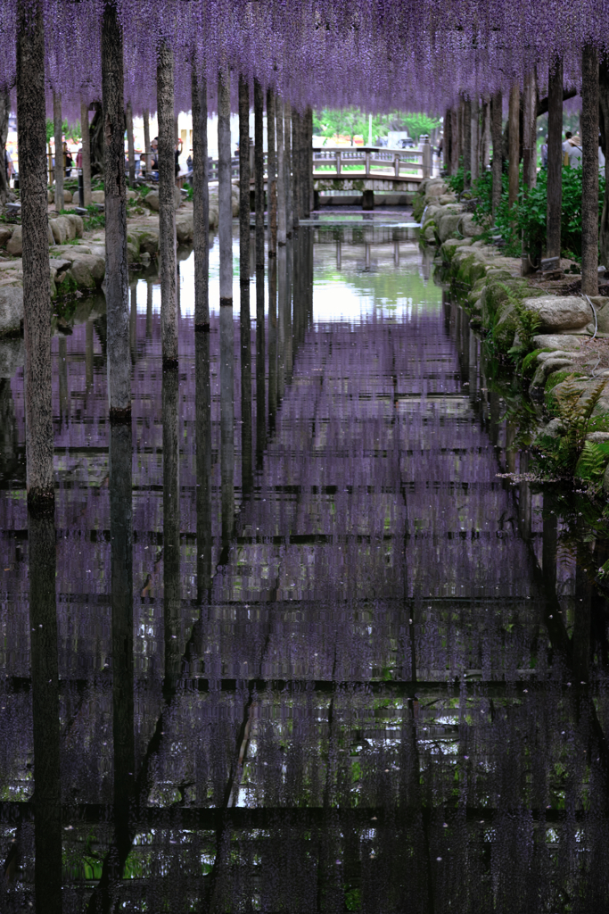天王川・水面への映り込み＃８
