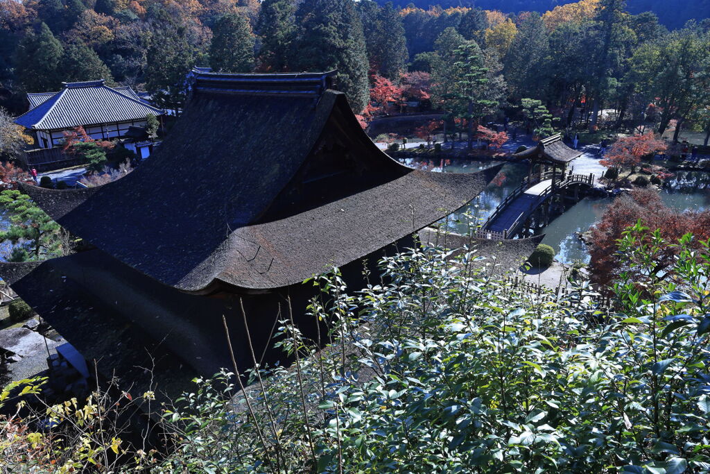 久々の永保寺・紅葉撮影＃１０