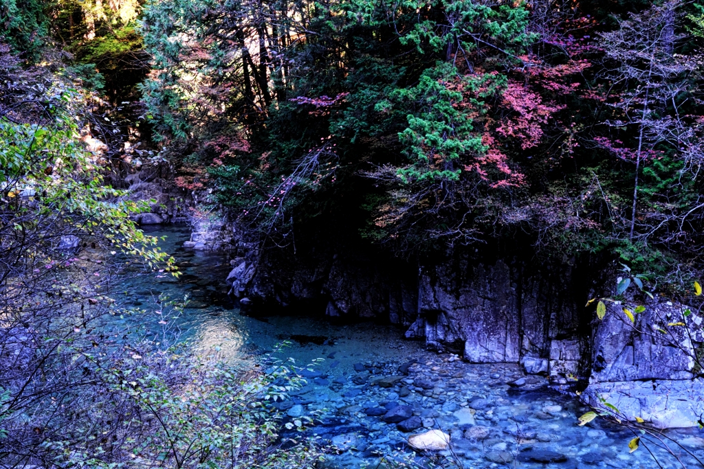 久し振りの阿寺渓谷＃６