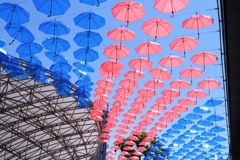 ２年振りのカリアンブレラ＃３