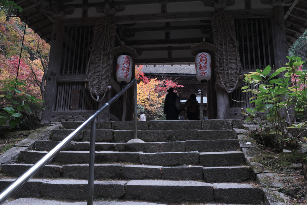 金剛輪寺の紅葉＃６