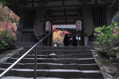 金剛輪寺の紅葉＃６