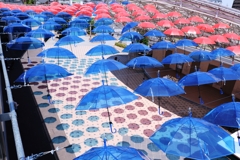 ２年振りのカリアンブレラ＃７