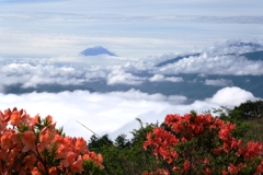 レンゲツツジと富士山＃１