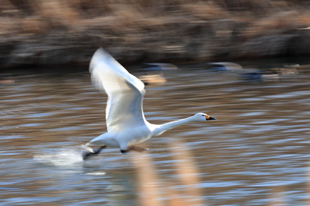 まだ背景の流れが・・・・