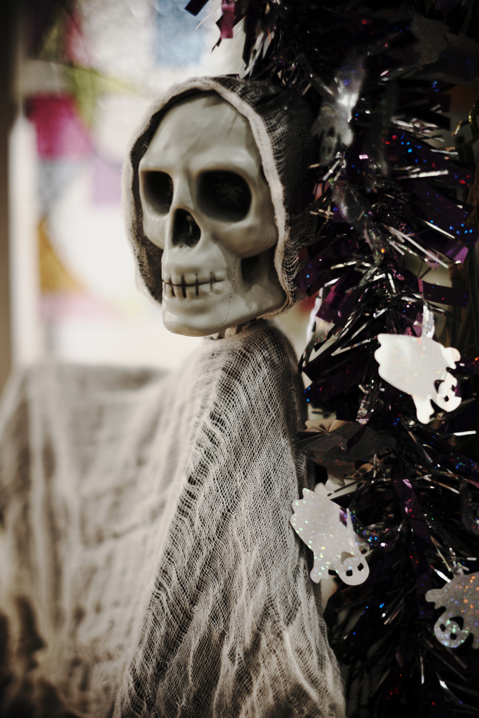 秋本番デンパークとハロウィン＃１０