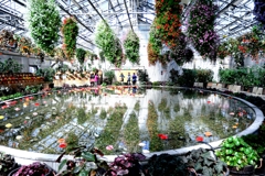 なばなの里・ベゴニアガーデン＃９