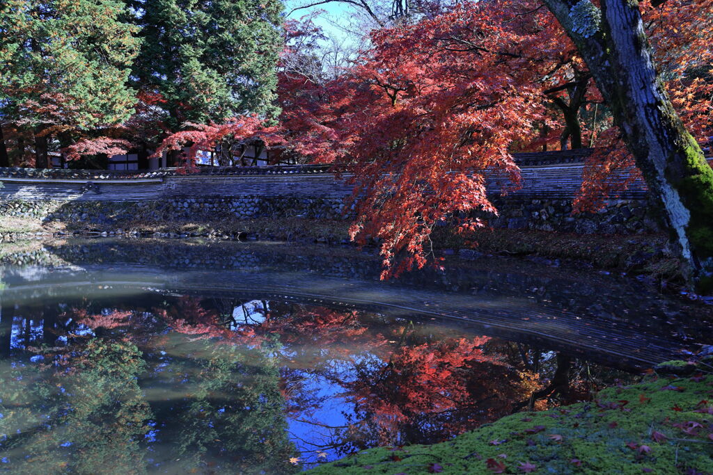 久々の永保寺・紅葉撮影＃４
