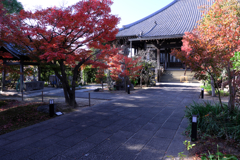 一色町・普元寺の紅葉＃２