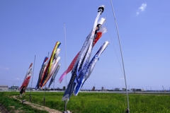 依佐美の鉄塔と鯉のぼり#6