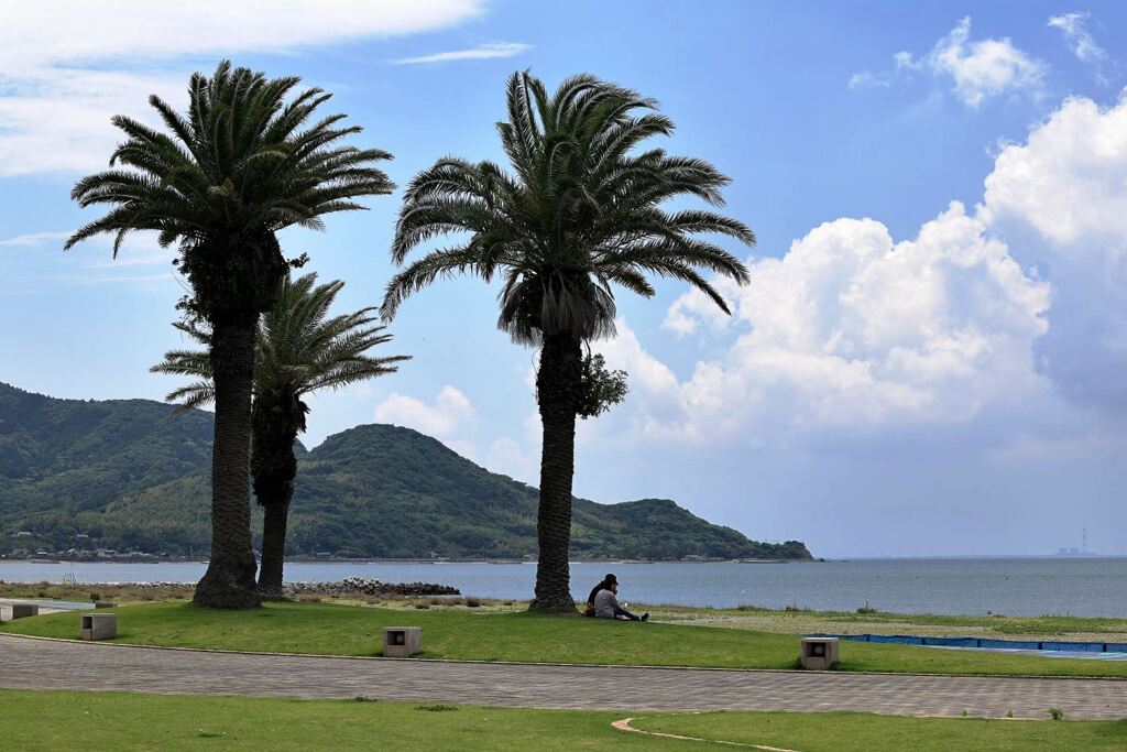 南国風情漂う白谷海浜公園＃１