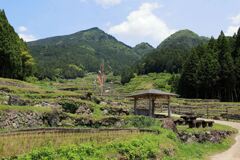 田植えを終えた新城市の千枚田棚田#3