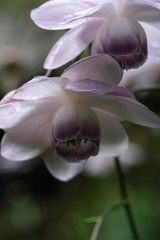 今年も逢えました～＃９