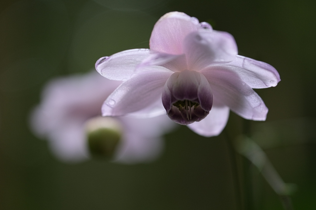 今年も逢えました～＃１０