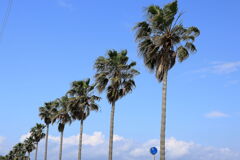 蒲郡・西浦半島の魅力＃３