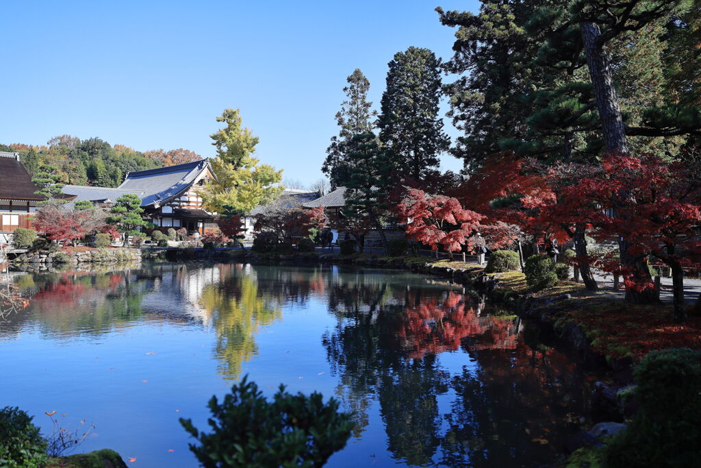 久々の永保寺・紅葉撮影＃３