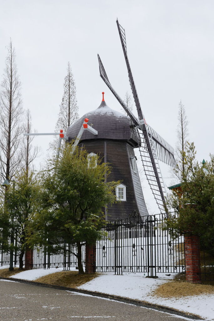 珍しく積もった雪景色＃２