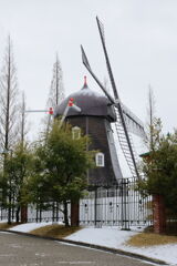 珍しく積もった雪景色＃２