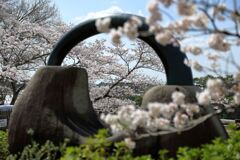 春爛漫の鞍ヶ池公園#3